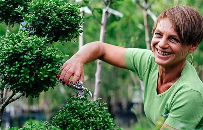 Karriere bei Mattuschka: Pflanzenverkauf Karriere bei Mattuschka: Pflanzenverkauf